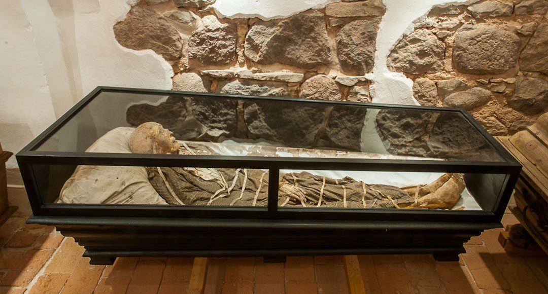 Foto-Nedlitz-Mumien_72